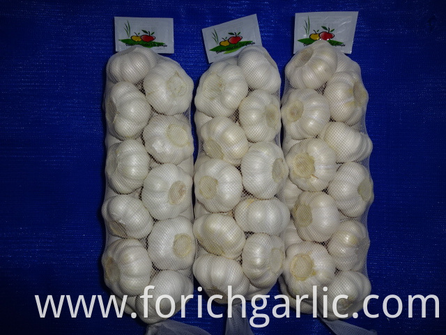 Best Quality Pure White Garlic 2019